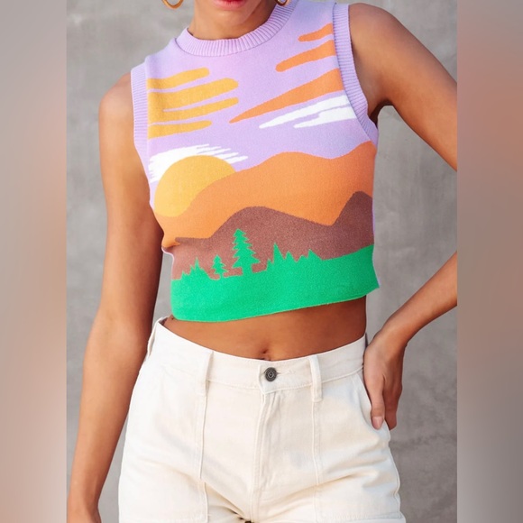 Tops - BOHO NWOT Sleeveless Desert Sunset Scene Knit Crop Top Sz S/M